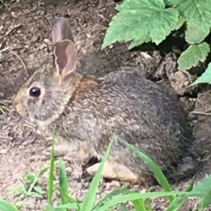 Meet your Posher, Sheila